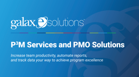 P3M Services